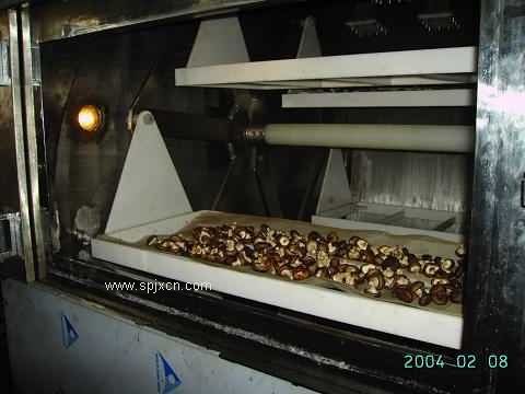 香菇微波干燥灭菌机