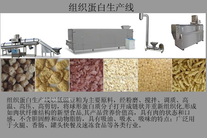 大豆蛋白素肉机械设备