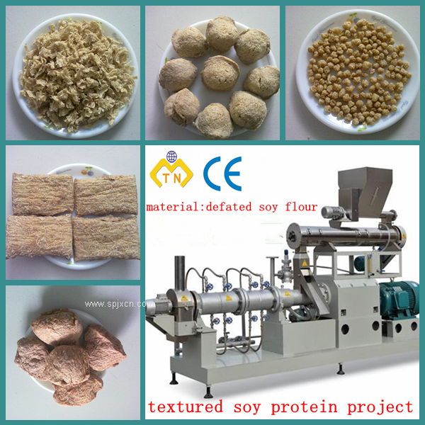 大豆蛋白素肉生产设备